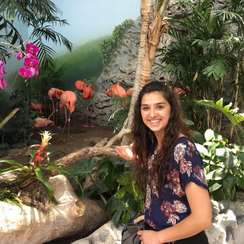 Meet your Posher, Alexis